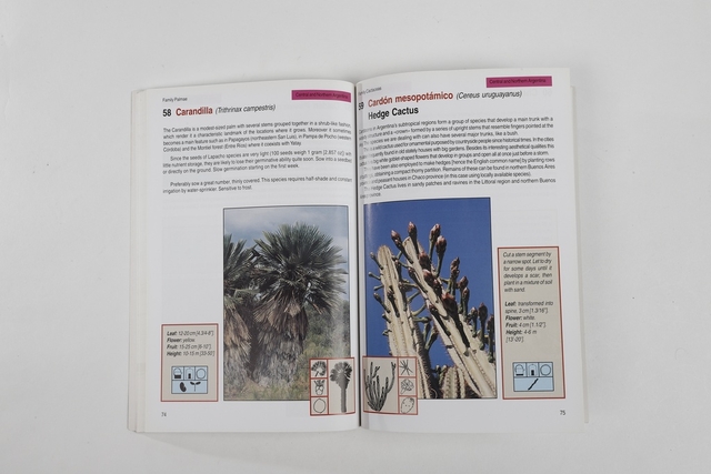100 Trees of argentina en internet