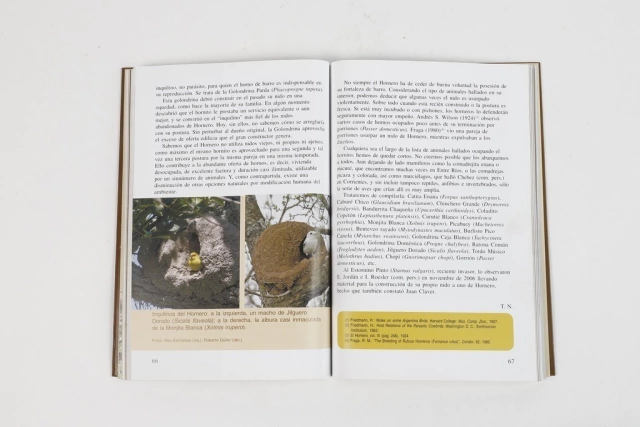 El hornero en internet