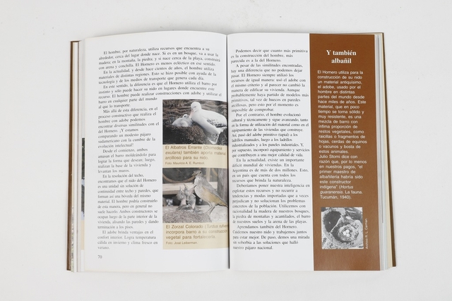 El hornero - Editorial Albatros