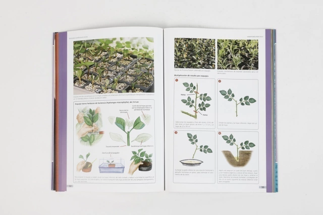 Multiplicacion de plantas - Editorial Albatros