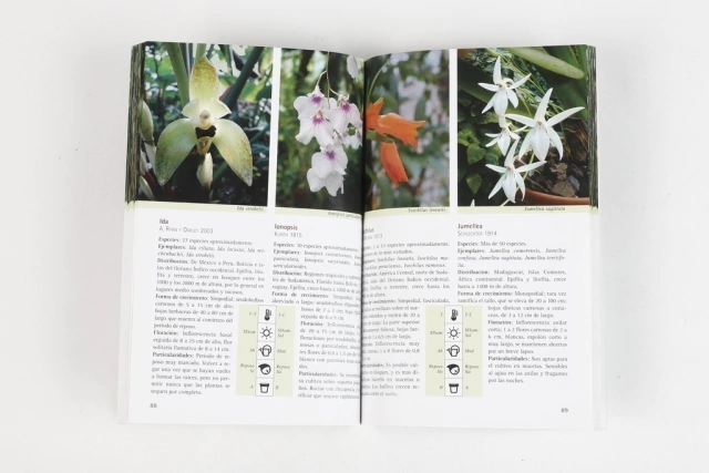 Orquideas de la A a la Z - Editorial Albatros