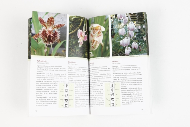 Orquideas de la A a la Z - tienda online