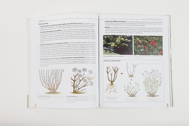 Manual de jardinería práctica - Editorial Albatros