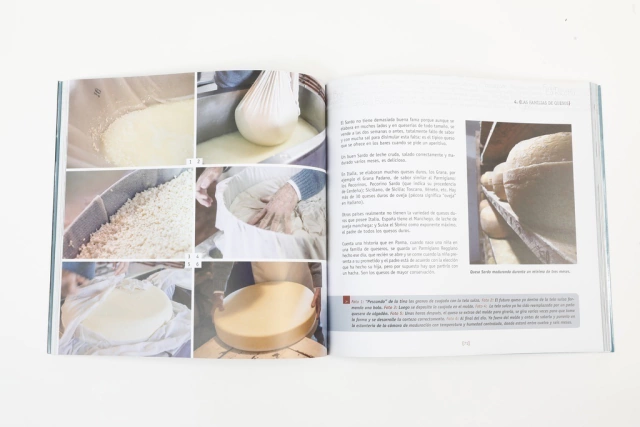 Todo lo que siempre quiso saber sobre quesos en internet