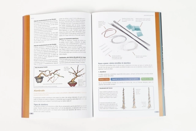 Bonsai - tienda online