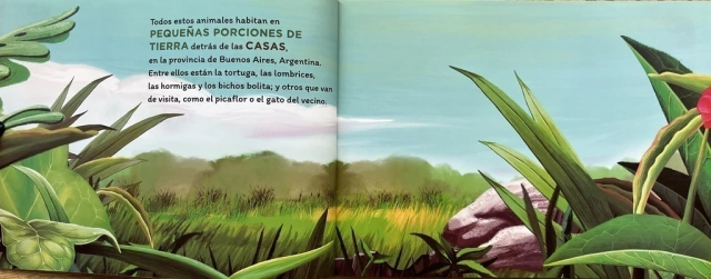 El bicho bolita y otros animales del jardín en internet