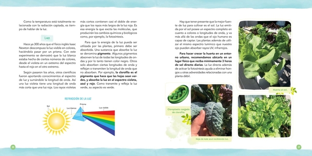 Hidroponía urbana - Editorial Albatros