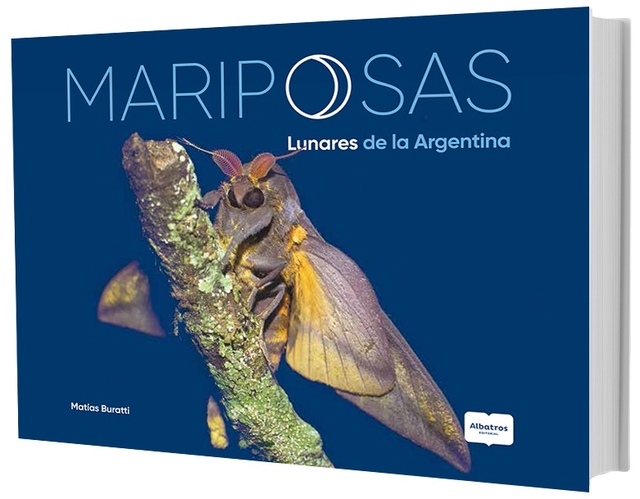 Mariposas solares y lunares de la Argentina - comprar online
