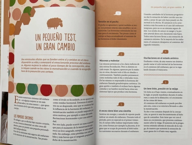 Embarazo consciente en internet