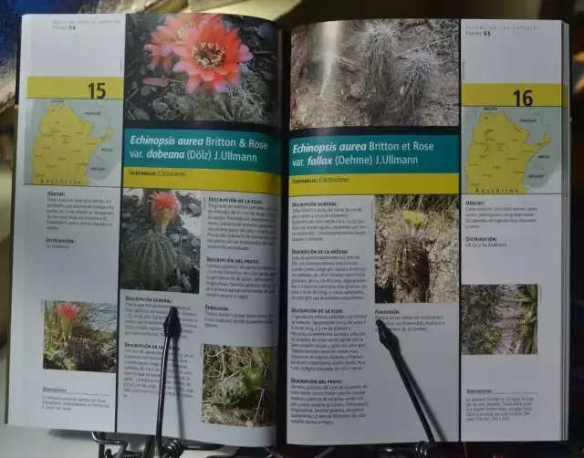 Cactus del Oeste de Argentina - 2da. Ed. Ampliada - comprar online