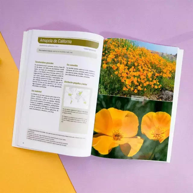 Plantas Medicinales Comestibles - comprar online