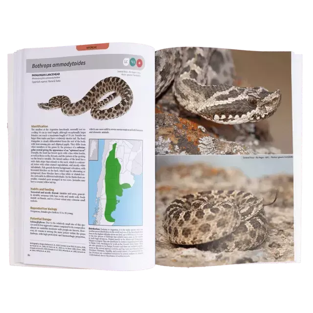 Snakes of Argentina - comprar online