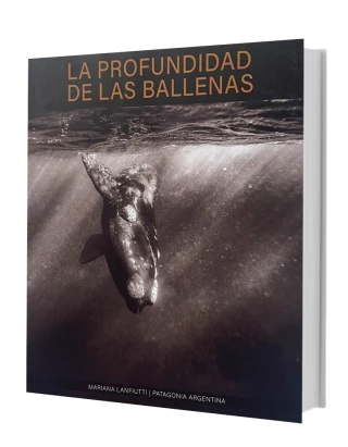 La Profundidad de las Ballenas
