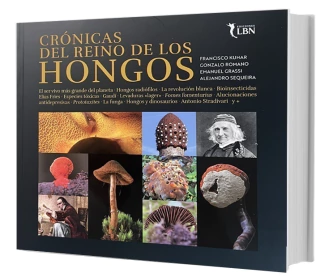 Crónica del Reino de los Hongos