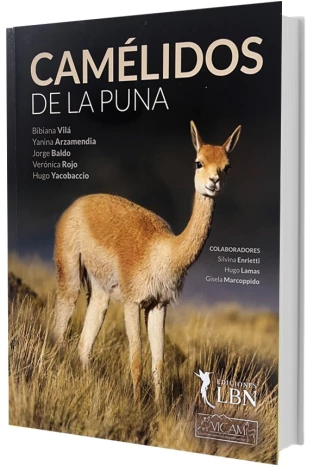 Camélidos de la Puna