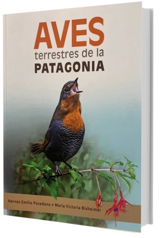 Aves Terrestres de la Patagonia