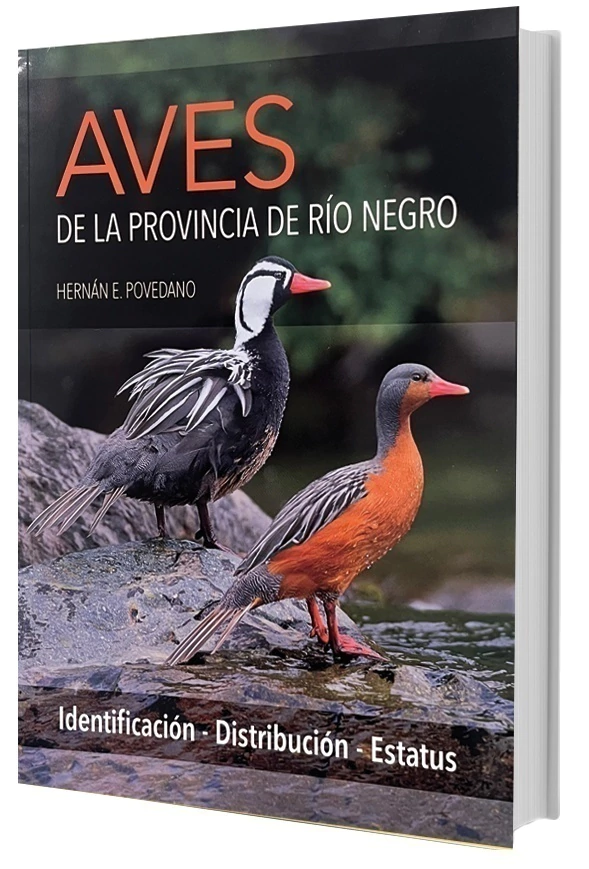 Aves de Río Negro