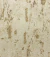 Papel de Parede Kantai - Aditare 2 - Grafiato Dourado Detalhes com Brilhos e Glitter - AD200106R - comprar online