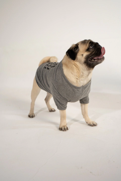 DOG tee