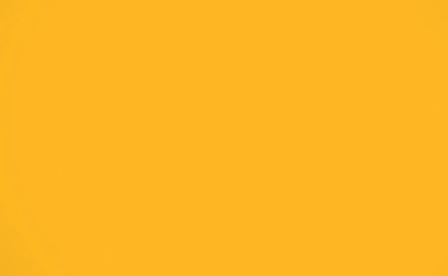 138 SunFlower - Fundo Infinito de Papel Importado - 2,70 X 11m BD USA (Consulte o Estoque)