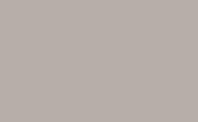 123 Pursuit Gray- Fundo Infinito de Papel Importado - 2,70 X 11m BD USA (Consulte o Estoque) - comprar online