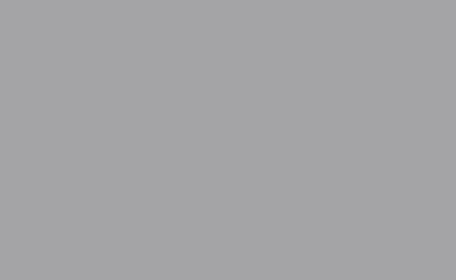 170 Stone Gray - Fundo Infinito de Papel Importado - 2,70 X 11m BD USA (Consulte o Estoque) - comprar online