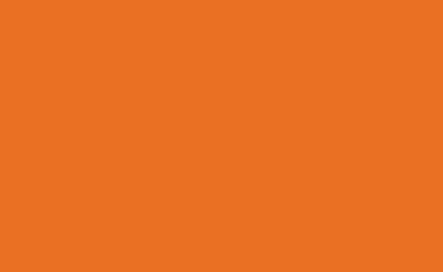 152 Tangerine - Fundo Infinito de Papel Importado - 2,70 X 11m BD USA (Consulte o Estoque) - comprar online