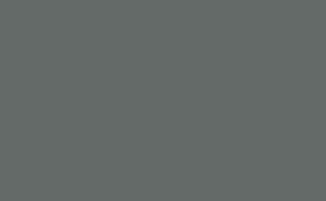 131 Thunder Gray - Fundo Infinito de Papel Importado - 2,70 X 11m BD USA (Consulte o Estoque) - comprar online
