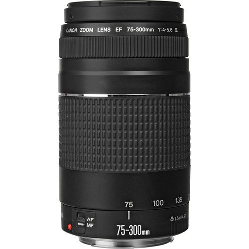 Lente Canon EF 75-300mm f/4-5.6 III - CAMERA NINJA • PHOTO VIDEO STORE