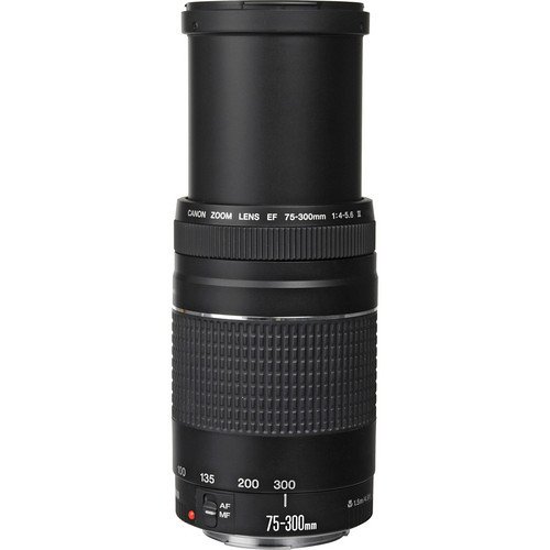 Lente Canon EF 75-300mm f/4-5.6 III - comprar online