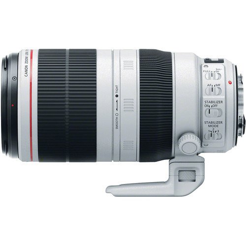 Lente Canon EF 100-400mm f/4.5-5.6L IS II USM - comprar online