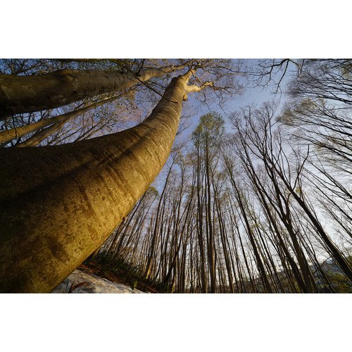 Imagem do Sony E-mount / FE 16-35mm F2.8 GM