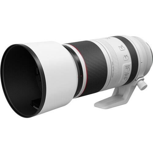 Lente Canon RF 100-500mm F/4.5-7.1 L IS USM - comprar online