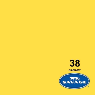SA 38 Canary - Fundo Infinito de Papel 2,72 X 11m SAVAGE (importado)