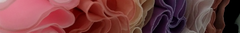 Banner de la categoría Pollerines 