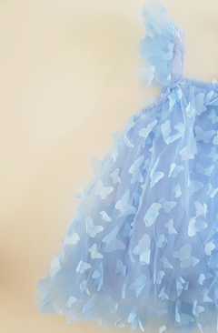 Butterfly blue en internet