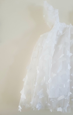 Butterfly white en internet