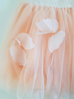 Peach butterfly en internet