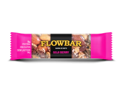 BARRA DE CASTANHAS GOJI BERRY SEM GLÚTEN SEM LACTOSE FLOWBAR 30g com 12 unidades na internet