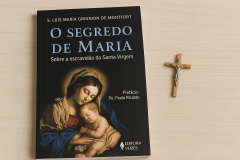 O SEGREDO DE MARIA - comprar online