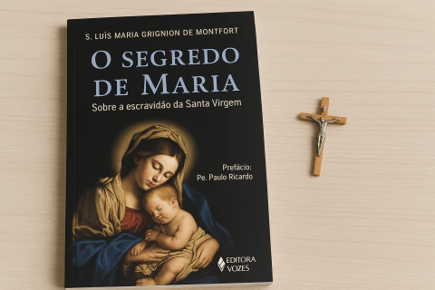O SEGREDO DE MARIA - comprar online