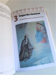 EXERCÍCIOS ESPIRITUAIS DE PREPARAÇÃO PARA CONSAGRAÇÃO À VIRGEM na internet