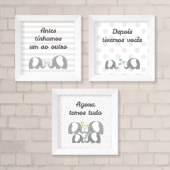 Kit de Quadros Elefantes