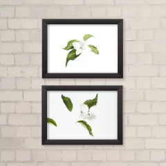 Kit de Quadros Flores Brancas - comprar online