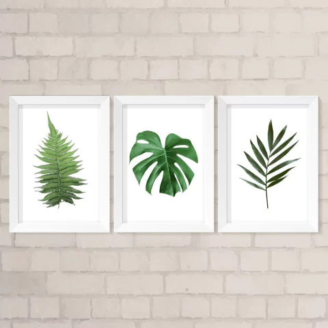 Kit de Quadros Folhas