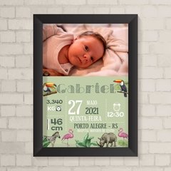 Quadro Nascimento Foto Animais - comprar online