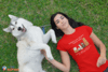 Camiseta Cachorro - Dinheiro - abana cauda