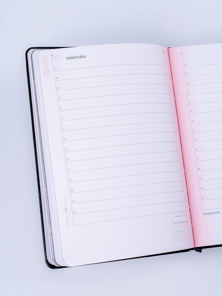 AGENDAS FW DIARIA COSIDA CLASSIC 15X21 2027