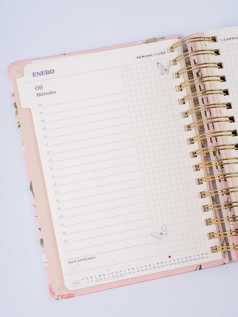 AGENDAS FW DIARIA C/ESP.15X21 BELLE 2027