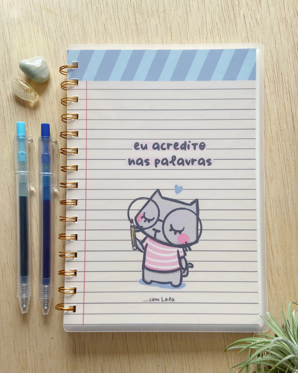 caderno Dôdu eu acredito nas palavras